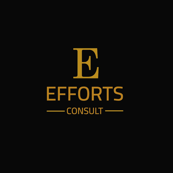 E-Efforts Consult logo